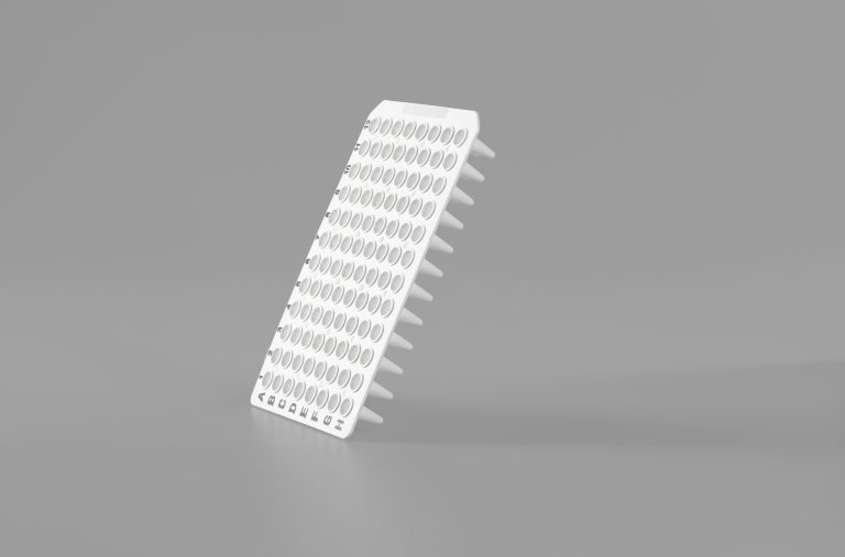 20241023221291399139
